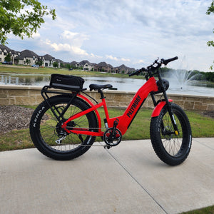 2024 Pälymorf Artemis 750 Electric Bike